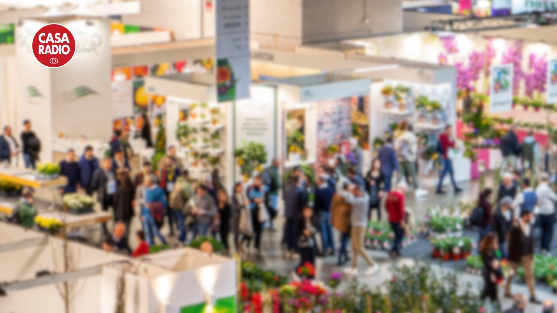 Outdoor design tra cultura e innovazione: Claudio Bonicco e la visione di Livintwist a margine di MyPlant & Garden