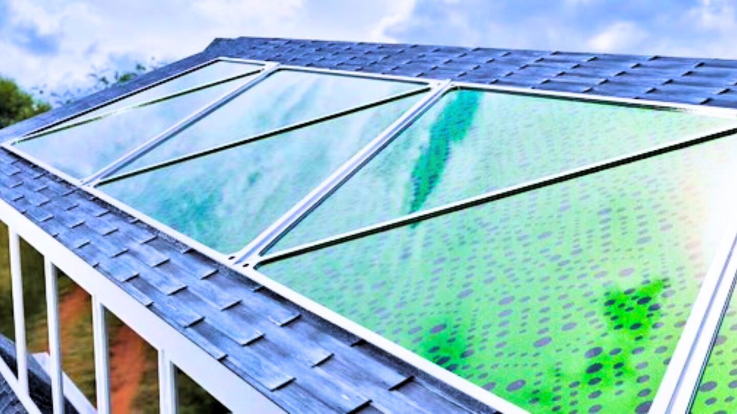 Biotecnologie in costruzione: innovazioni scientifiche per un nuovo modo di abitare